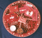 POOJA RELIGIOUS FESTIVAL KITS AND RAKHIES