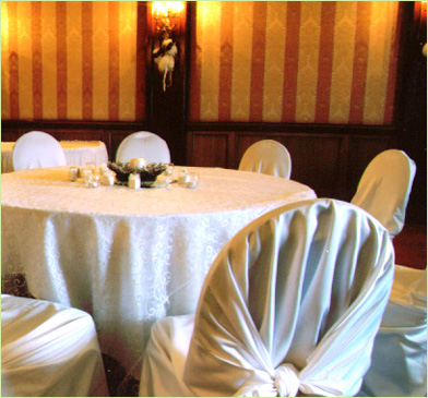 CHAIR COVER WITH BACK KNOT