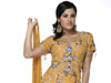 Multicolour Bridal Dress