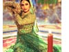 BOLLYWOOD MADHURI DIXIT DEVDAS DANCE DRESS