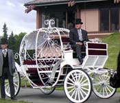 WEDDING CINDERELLA HORSE CARRIAGE