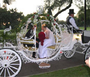 WEDDING CINDERELLA CARRIAGE