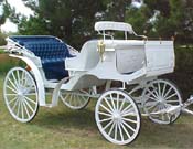 WHITE CHRISTMAS HORSE CARRIAGE