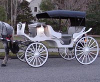 WEDDING HORSE CARRIAGE FULL HOOD