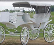 VICE VERSA WEDDING HORSE CARRIAGE
