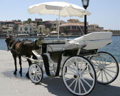 SEA BEACH PLEASURE HORSE CARRIAGE