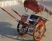 TRADITIONAL INDIAN TAANGAS