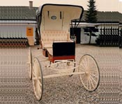 FARM HOUSE INSPECTION CARRIAGE
