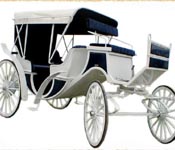 CLASSIC VISA VIS HORSE CARRIAGE