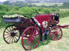 BURGANDY WEDDING HORSE CARRIAGE