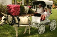 CHILDREN BUGGY