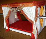 SHAADI DOLI