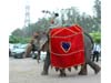 DECOARTED ELEPHANT COSTUME