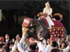 EMBROIDERED ELEPHANT COSTUMES