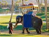 VELVET ELEPHANT COSTUMES