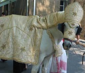 EMBROIDERED HORSE COSTUME