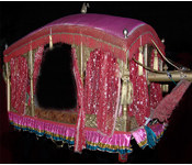 ROYAL SHAHI WEDDING DOLI