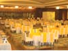 DESIGNER CHAIR COVER