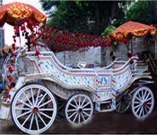 LATEST SIX WHEELS WEDDING HORSE CARRIAGE