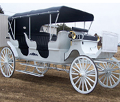 TOURIST HORSE CARRIAGE