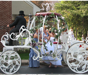 FLOWER DESIGNED CINDRELLA HORSE CARRIAGE
