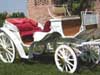 VICE VERSA SITTING HORSE CARRIAGES