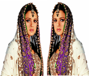 BOLLYWOOD PREITY ZINTA VEER ZAARA SUIT