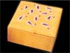 GOLDEN JEWELLERY BOX