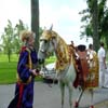 DECORATED HORSE WITH DRESS
