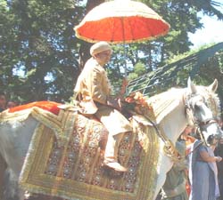 INDIAN WEDDING PROCESSION