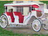 TOURIST PLEASURE HORSE CARRIAGE