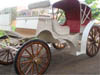 VICE VERSA VICTORIAN HORSE CARRIAGE