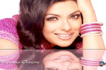BOLLYWOOD BANGLES