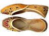 DEVDAS PUNJABI JUTTI