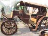 VICE VERSA SITTING HORSE CARRIAGE LANDAU