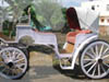 VICE VERSA VICTORIAN HORSE CARRIAGE