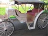 VISTA HORSE DRAWN CARRIAGE