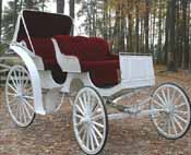 WEEDING HORSE SURREY