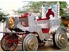 WEDDING HORSE CARRIAGE