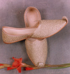 Sherwani Mojries