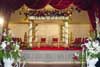 GOLDEN BORDERED BACKDROPS