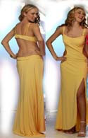 PAMELA ANDERSON GOWN