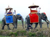 COVERED ELEPHANT HOWDAH