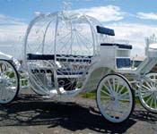 WEDDING CINDERELLA CARRIAGE WITH DOORS