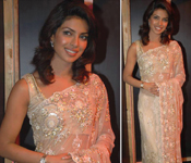 BOLLYWOOD PRIYANKA CHOPRA EMBROIDERED SARI