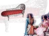 BOLLYWOOD MOVIE DEVDAS THRONE